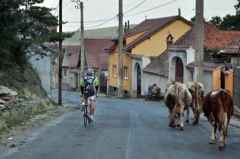 Imagini INCREDIBILE din Turul Sibiului. Cicliştii trec pe lângă mortul dus spre groapă!