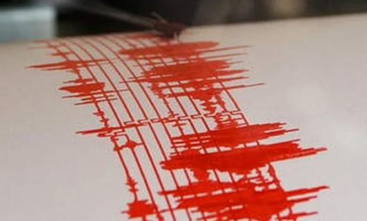CUTREMUR în Buzău, în această dimineaţă. Seismul a avut loc la 131 de kilometri adâncime