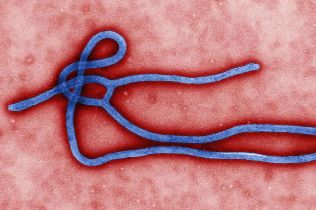 OMS consultă experţii în etică pentru a decide asupra folosirii medicamentelor experimentale pentru tratarea Ebola