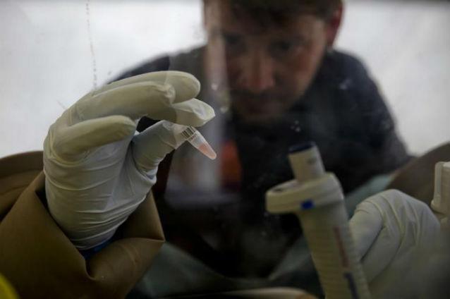 Creştere de 26% a acţiunilor companiei farmaceutice al cărei medicament ar putea trata Ebola