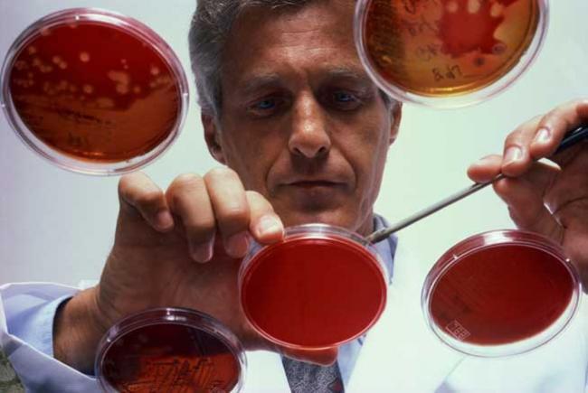 Prof.dr. Streinu Cercel: Un pacient cu Ebola devine contagios abia când apar simptomele bolii