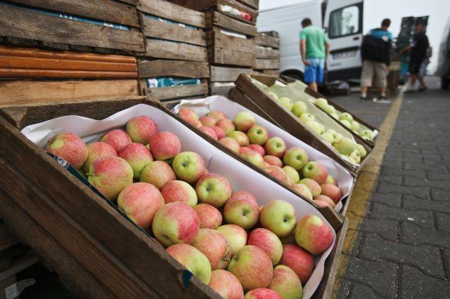 Polonia cere Statelor Unite să cumpere merele interzise de Rusia. Oficial polonez: &quot;Situaţia este excepţională!&quot;