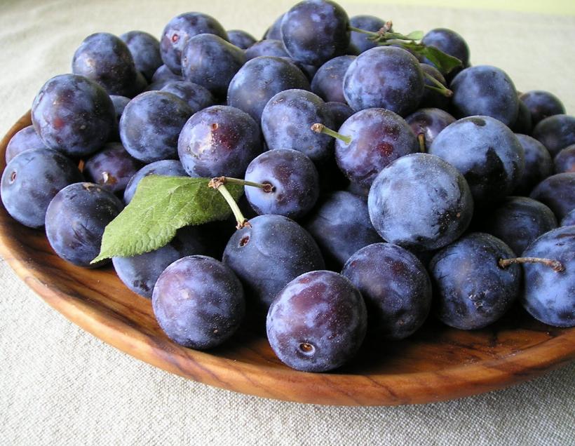 Fructele MIRACULOASE ale sezonului: PRUNELE sunt adevărate MEDICAMENTE NATURALE. Află 6 REȚETE TERAPEUTICE utile pentru sănătatea ta