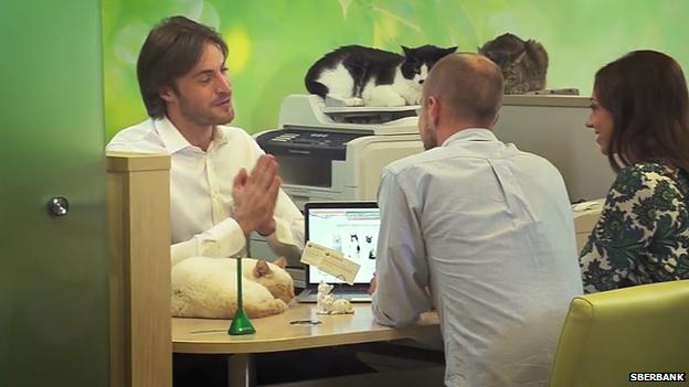 Campanie publicitară inedită în Rusia! O bancă oferă câte o pisică la fiecare credit ipotecar (VIDEO)
