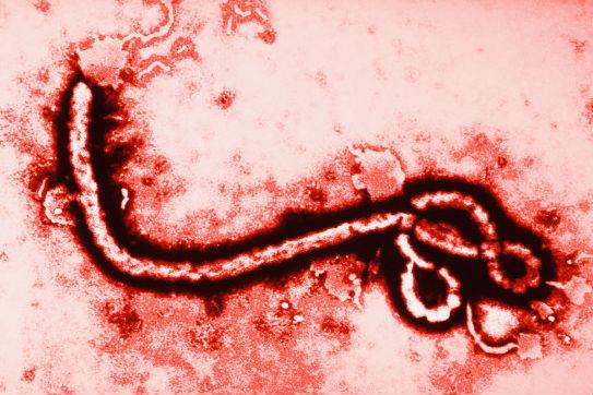 Ebola: China va produce un vaccin numai pentru armată