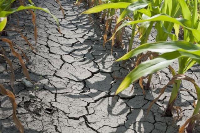 STUDIU ALARMANT: Scoarţa planetei SE RIDICĂ din cauza secetei