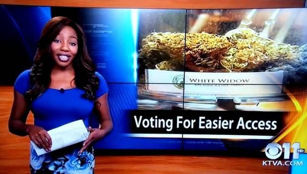 VIDEO. Prezentatoare de ştiri, posesoarea unei plantaţii de Marijuana, GEST ULUITOR făcut ÎN DIRECT! 