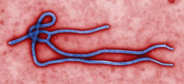  Ebola îşi face apariţia şi în Elveţia