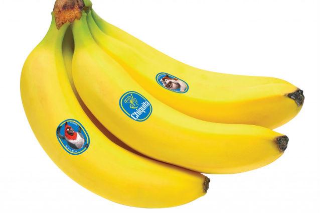 Comisia Europeană a aprobat crearea celui mai mare furnizor mondial de banane