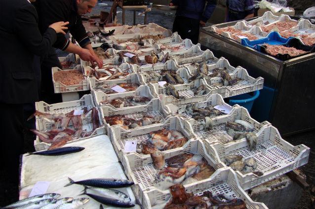 Românii consumă de cinci ori mai puţin peşte decât media din ţările Uniunii Europene