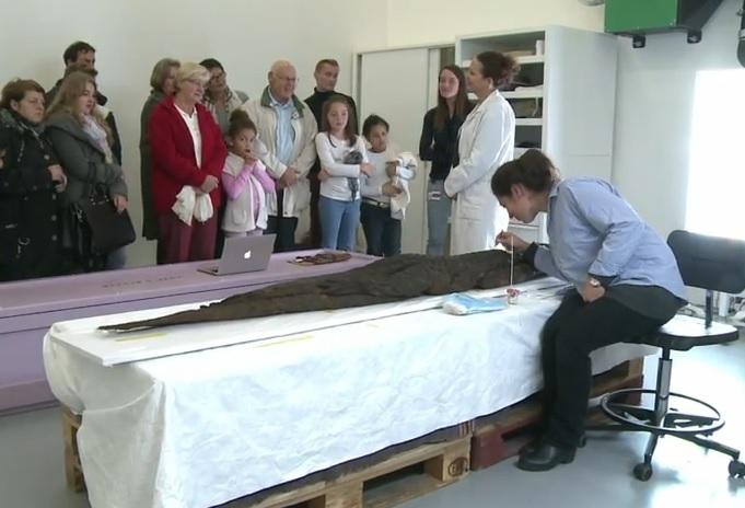 Mumie de crocodil, restaurată sub ochii publicului la Luvru-Lens (VIDEO)