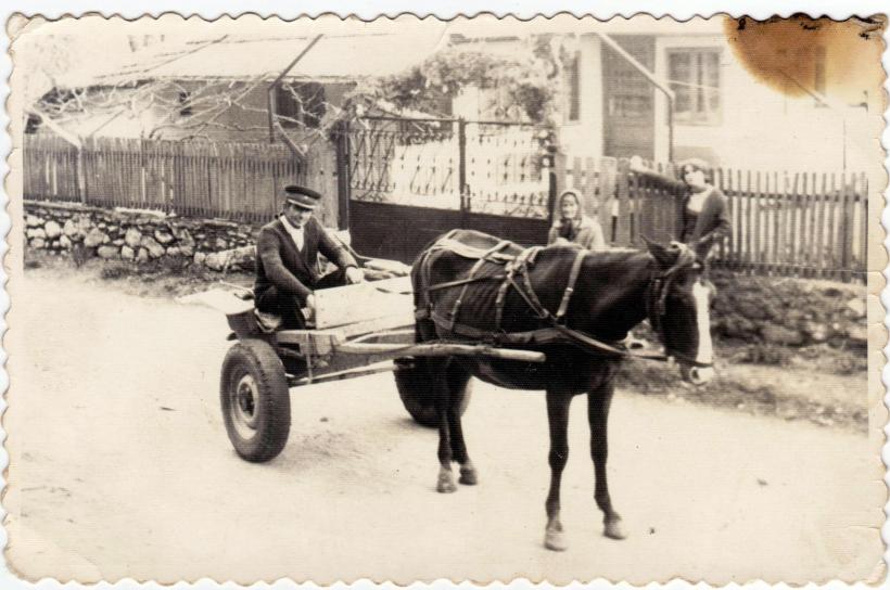 Ilie Stamate, mascota de 140 de ani a lui Ceauşescu. Un cioban român a cărui legendă a făcut înconjurul planetei 18496928