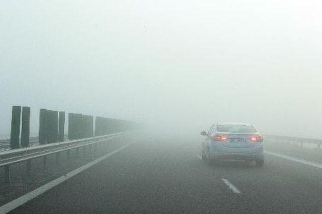 COD GALBEN de ceaţă în Dobrogea, inclusiv autostrada A2, până la ora 11:00