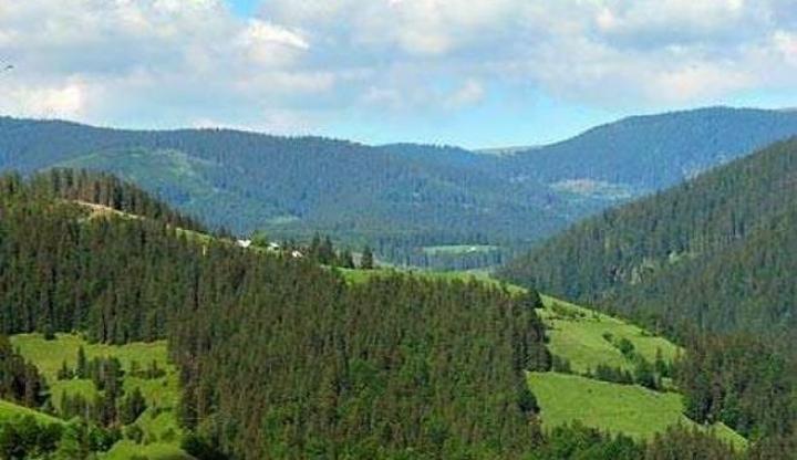 ÎCCJ a respins definitiv cererea Arhiepiscopiei Sucevei şi Rădăuţilor, care solicita retrocedarea a 166.000 hectare de pădure