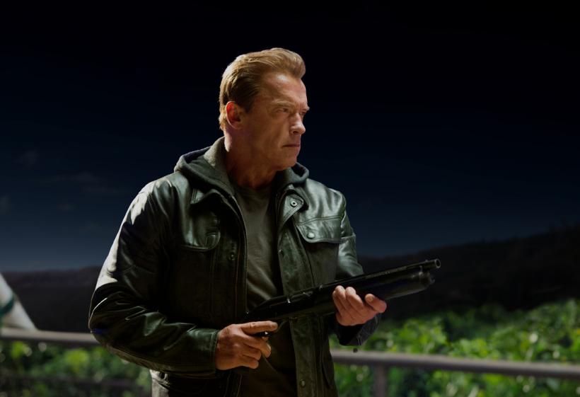 Schwarzenegger revine în Terminator 5