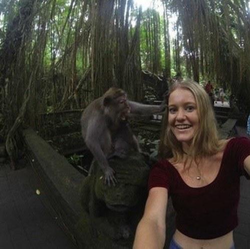 Un selfie cu o maimutica se termina FOARTE PROST! (FOTO)