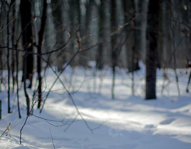 Femeie găsită în pădurea Băneasa aproape înghețată