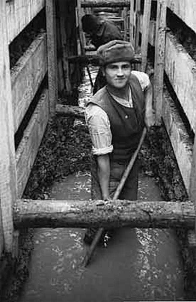 La “luptă”, cu lopata în mână! Armata la “diribau” (pe şantierele patriei). Muncă silnică pentru că unchiul s-a stabilit în Germania  18499405