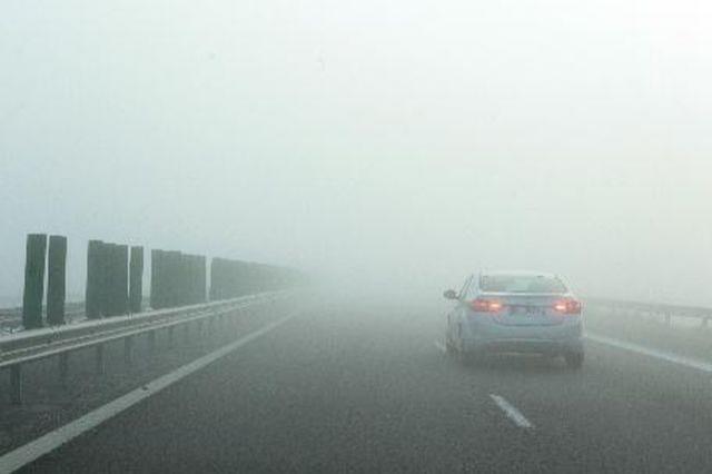 COD GALBEN de ceaţă şi vizibilitate redusă în opt judeţe şi autostrăzile A1, A2 şi A3