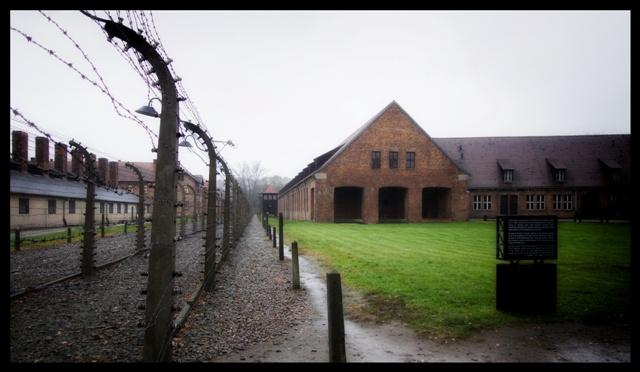  Discovery: 70 de ani de Holocaust