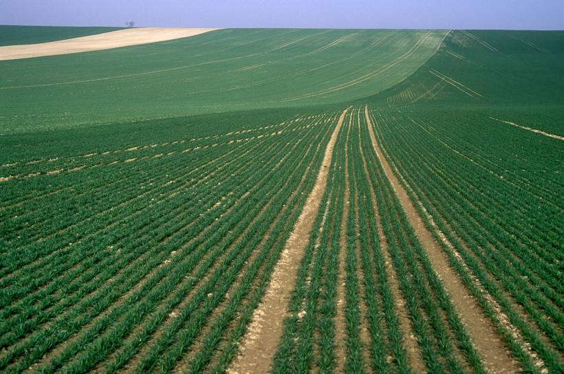 Comisia Europeană: Franţa trebuie să returneze un miliard de euro din ajutoarele agricole