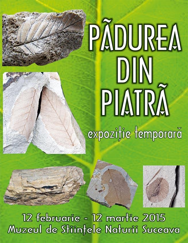 “Pădurea din piatră”: fragmente din Colecţia de Paleontologie a Muzeului de Ştiinţele Naturii din Suceava