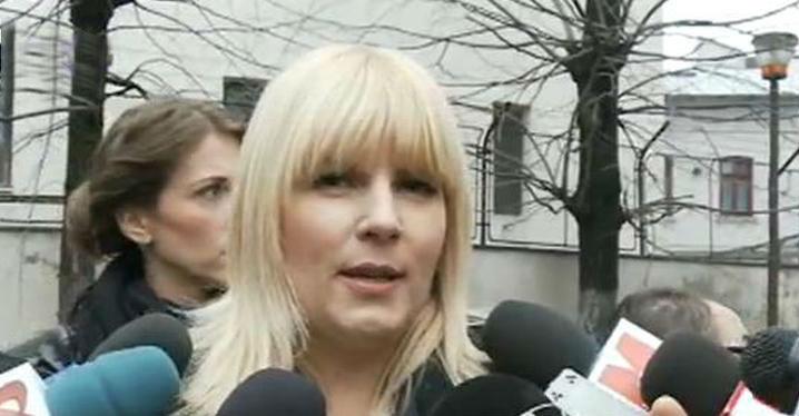 Elena Udrea, la Curtea Supremă: Ştiam că Dorin Cocoş finanţa campaniile PDL