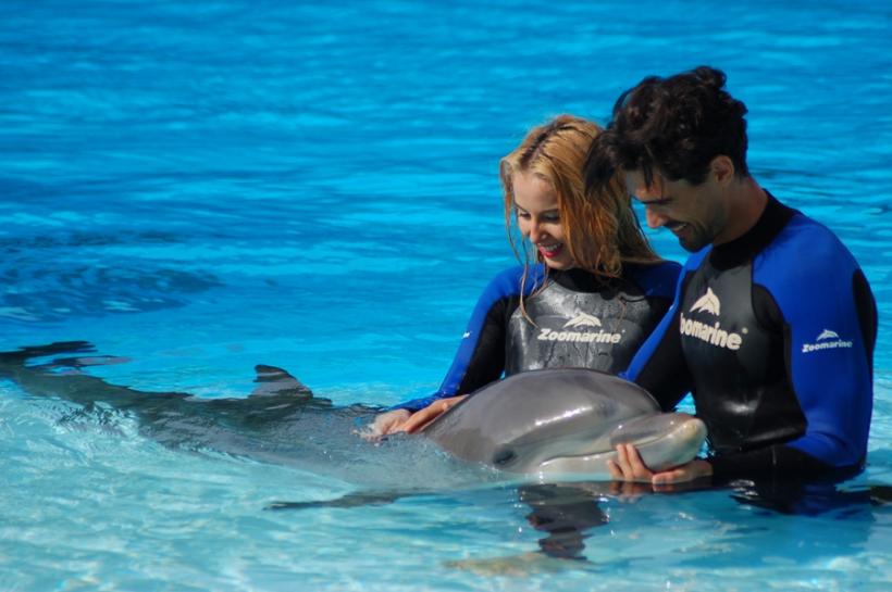 Joi, de la 20:30, în semifinala show-ului, “Burlacul” merge să înoate cu delfinii