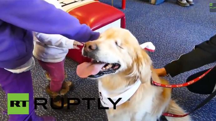 POVESTEA CARE A EMOŢIONAT MILIOANE DE OAMENI. Un câine născut ORB, sprijin pentru copiii cu autism (VIDEO)