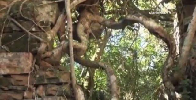 MISTERUL din jungla argentiniană. A fost descoperit unul dintre cele mai bine păzite SECRETE ale celui de-Al Doilea Război Mondial (VIDEO)