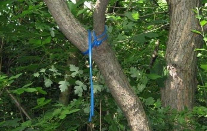 Fată de 14 ani din Vrancea, găsită spânzurată de un pom, cu un bilet prins de haină. Ce mesaj a lăsat adolescenta
