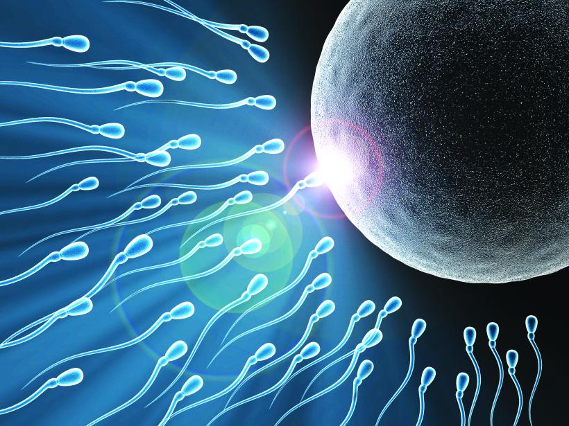 Infertilitatea masculină: „vinovaţii” şi soluţiile