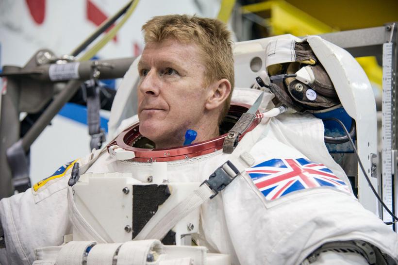 Un astronaut britanic vrea să experimenteze creşterea unor plante în spaţiul cosmic