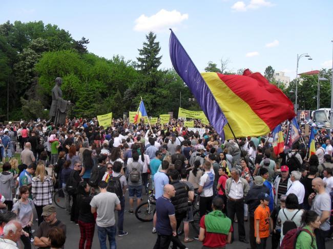 Protest împotriva tăierilor ilegale a pădurilor, la Suceava