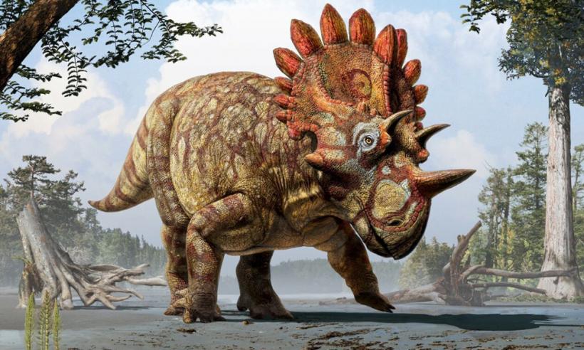 A fost descoperită o nouă specie de dinozaur