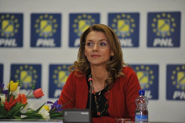 Alina Gorghiu: Suntem într-un moment delicat. Ne îndreptăm spre o criză politică