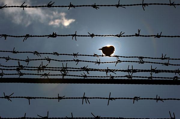 Puşcării noi la Caracal şi Berceni-Prahova. Penitenciarele vor fi amplasate în zonele supraaglomerate din ţară