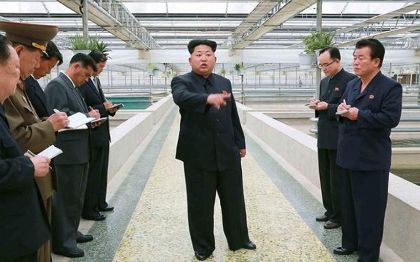 Kim Jong-Un a executat directorul unei ferme de ţestoase