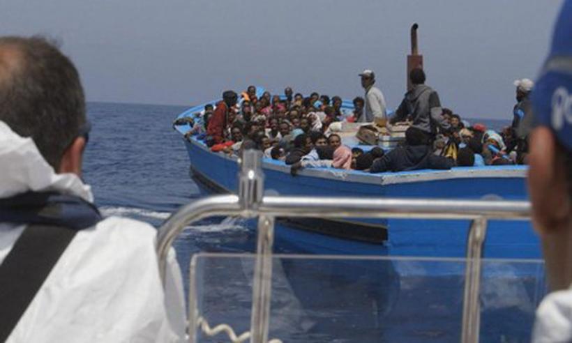 Radu Tudor: România ar putea prelua 1700 de imigranţi din Africa şi Siria