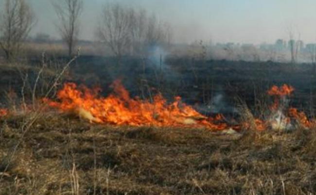 Numărul incendiilor de vegetație din Olt sunt în creștere