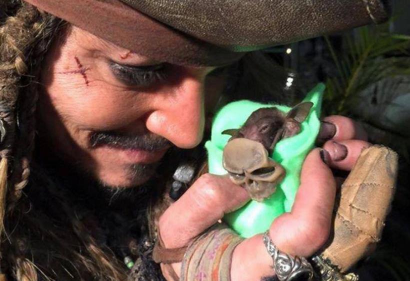 Johnny Depp are un nou prieten pe care îl hrăneşte cu biberonul (VIDEO)