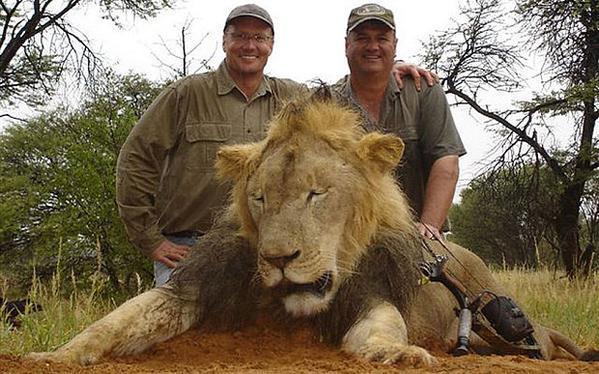 Braconierul care a plătit o șpagă de 50.000 E ca să ucidă cel mai faimos leu, este un stomatolog american