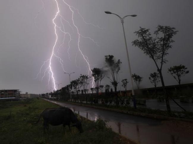 AVERTIZARE ANM: Cod GALBEN de ploi şi intensificări ale vântului în judeţul Bihor, până la ora 17,00