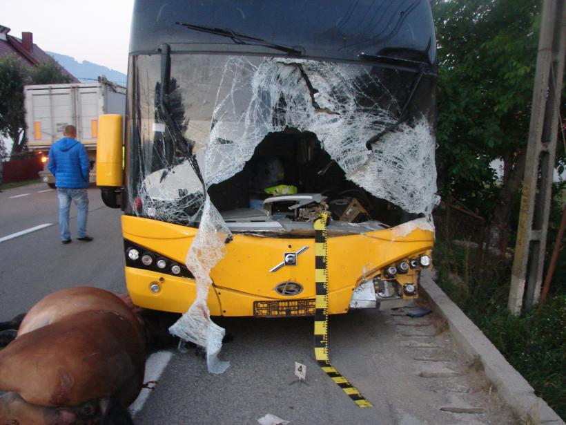 ACCIDENT la Câmpulung Moldovenesc. Șoferul unui autocar a murit după ce a lovit un CAL!