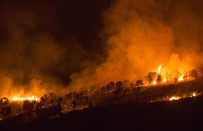Un incendiu a distrus 2.000 de hectare de pădure, în Spania