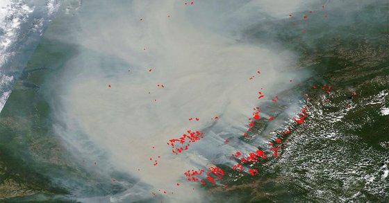 Taigaua siberiană este distrusă de un incendiu DEVASTATOR