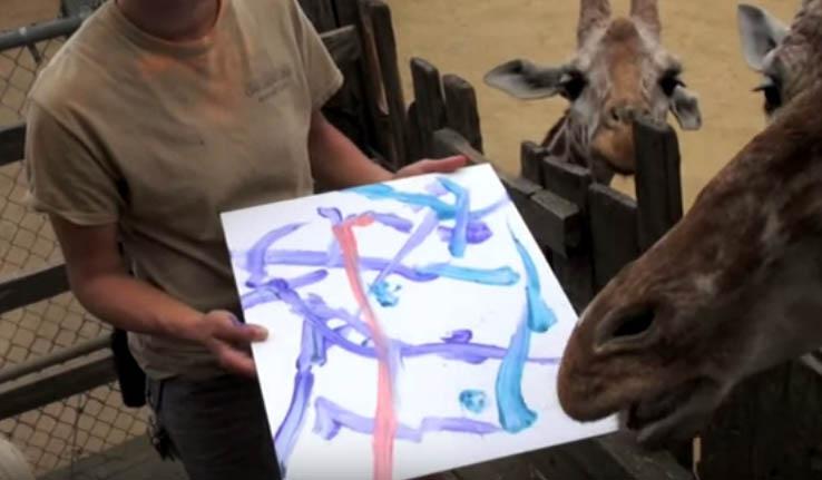 Animalele dintr-o grădină zoologică s-au apucat de pictat - VIDEO