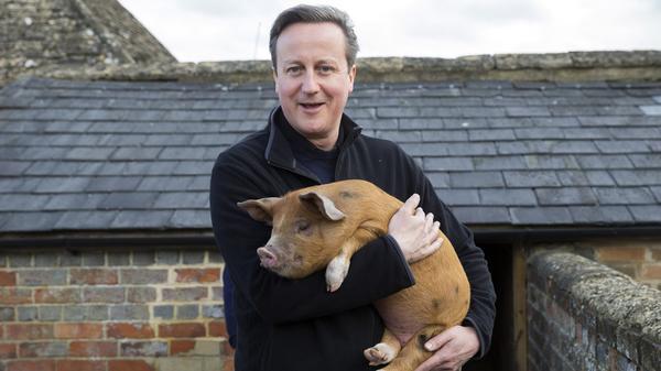 Detalii stânjenitoare din tinereţea premierului David Cameron făcute publice