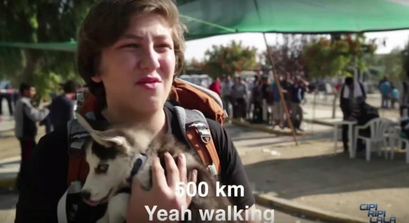 VIDEO - Aslan și Rose, povestea adolescentului sirian care călătorește alături de cățelușa lui