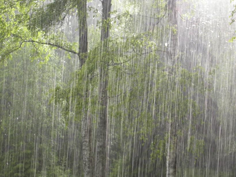 Cod Galben de ploi abundente pentru 10 judeţe din sudul ţării, până marţi dimineaţă